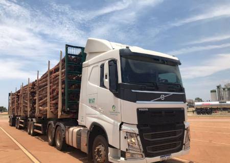 Eldorado Brasil amplia frota de caminhões e gera novos empregos no MS