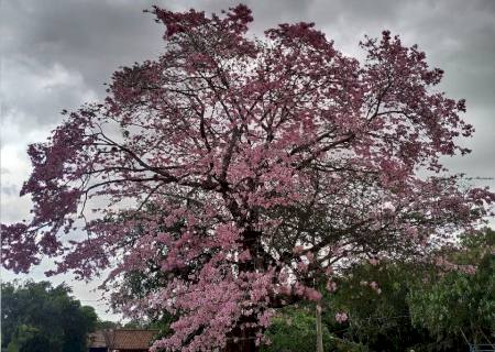 Avanço de frente fria mantém tempo instável nesta quarta em Mato Grosso do Sul