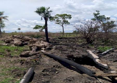 Com imagem de satélite, PMA autua paranaense em R$ 301 mil por danificar e incendiar vegetação