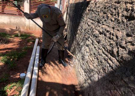 Corpo de Bombeiros Militar em Ivinhema resgata cachorro que ficou preso em vão de muro