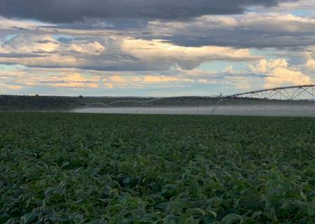 Dezembro terá influência do La Niña e estiagem pode ser acentuada em MS