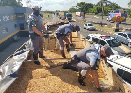 Ação policial em Rancharia apreende 7,4 ton de maconha que foram carregadas em Dourados