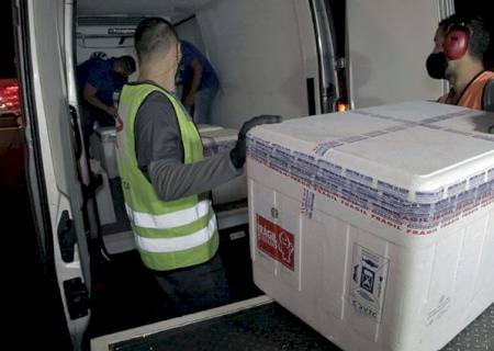 Mato Grosso do Sul recebe doses da vacina pediátrica da Pfizer na manhã desta sexta-feira