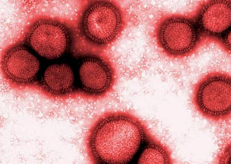Continuam em alta números da Covid-19 e da Influenza no MS