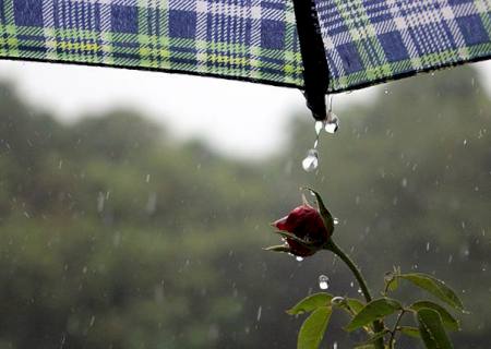 Chuva no final de semana pode atingir 50 mm ao dia em MS
