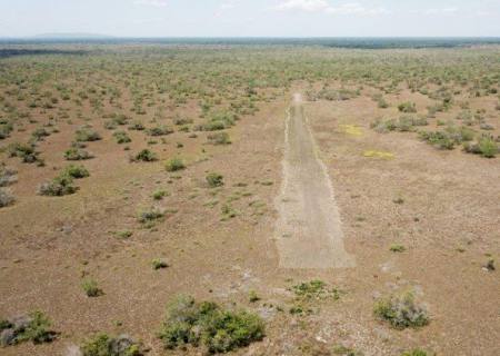 PF, em cooperação policial internacional, auxilia na destruição de laboratório de cocaína na Bolívia