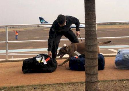 Canil da Polícia Federal em Três Lagoas presta apoio à PF de Presidente Prudente (SP)