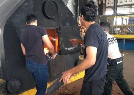 Mais de 600 kg de drogas são incinerados em Bataguassu