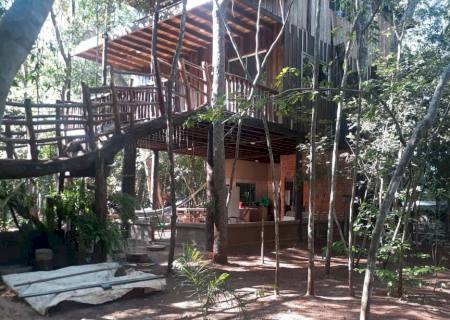 Polícia Ambiental autua infrator por construção de loteamento para venda à margem de rio ilegalmente