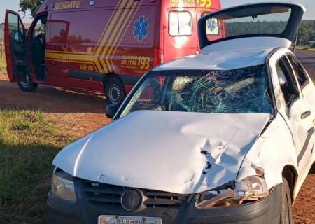 Veículo com placas de Nova Andradina colide em vaca na MS-141