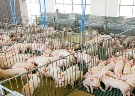 Com agro em alta, conselho do FCO define prioridades para viabilizar recursos do Fundo a novos investimentos