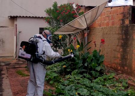 Casos suspeitos de dengue crescem em Nova Andradina e cuidados devem ser redobrados
