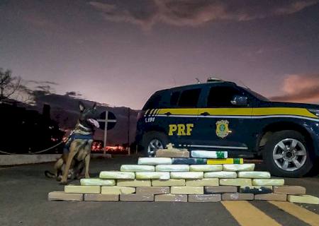 Com cães farejadores, PRF encontra pasta base de cocaína em meio a carga de mudança