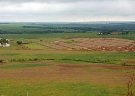 Mato Grosso do Sul é o 1º Estado do Brasil em desenvolvimento agropecuário