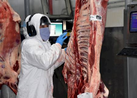 Exportação de industrializados registra em junho o melhor resultado em toda série história