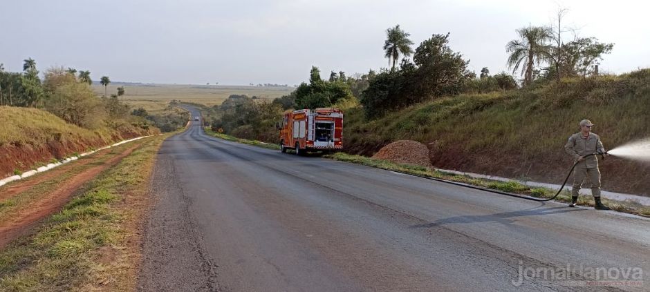 Veículo é consumido pelo fogo na MS-141 entre Ivinhema e Naviraí