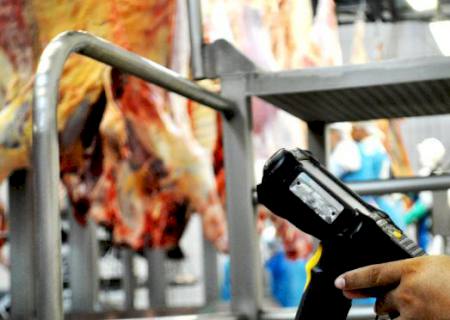 Programa Precoce MS reduz tempo de abate de bovinos em 17 meses e paga R$ 75 milhões aos pecuaristas