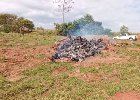 Homem é multado em R$ 1 mil por incêndio em leiras em Amambai