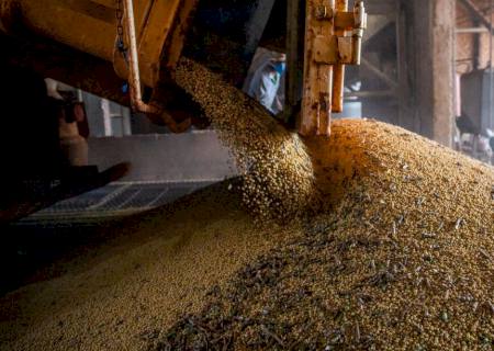 Produção agrícola em 2021 bate novo recorde e atinge R$ 743,3 bilhões