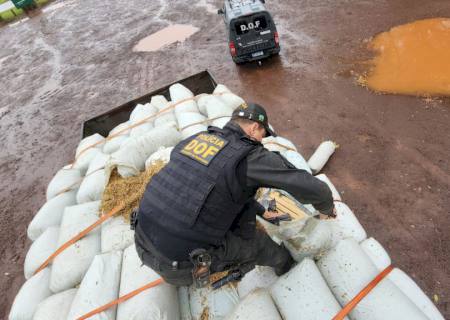 DOF apreende mais de 3 toneladas de maconha em caminhão com feno