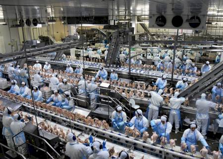 MS completa 45 anos com setor industrial forte e consolidado