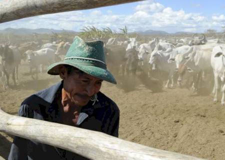 Abate de bovinos recua 8,2% e de aves 1,2% no 4º trimestre de 2021