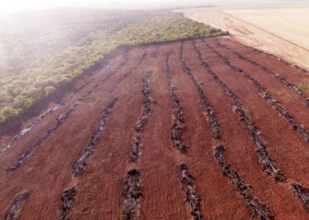 Polícia Ambiental autua infrator em R$ 22 mil por incendiar restos de vegetação em leiras em São Gabriel do Oeste