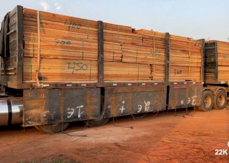 Empresa catarinense é multada em R$ 31,5 mil por transporte excessivo de madeira em MS