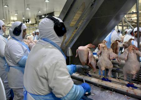 Senai Empresa procura parceiros para concorrer em edital de inovação de até R$ 800 mil