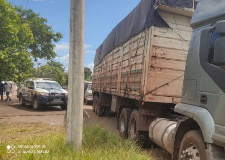 Empresa é multada em R$ 23 mil por transporte ilegal de carvão nativo em MS