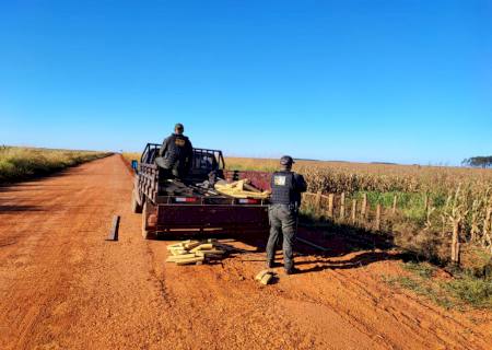 DOF encontra maconha oculta em carroceria de caminhonete em Maracaju