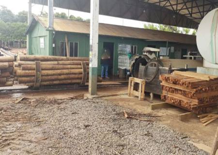 PMA interdita indústria de tratamento de madeira por poluição de córrego em MS