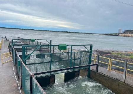 Reservatório da usina de Porto Primavera registra 50% de todas as espécies de peixes descritas no rio Paraná