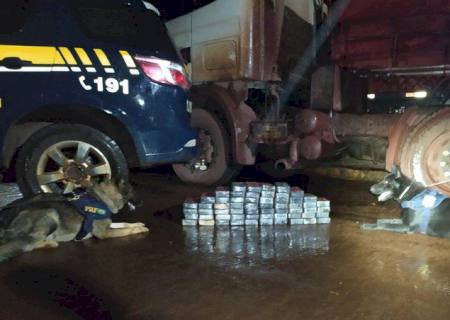 Cães da PRF encontram 59 kg de pasta base de cocaína em carreta em Terenos
