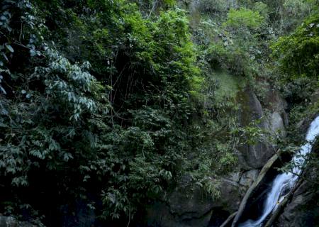 Mata Atlântica tem água de boa qualidade em 6,9% dos rios