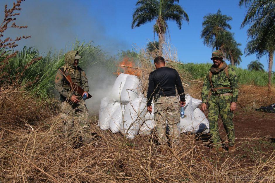 PF e Senad encerram mega operação com 82 ton de maconha destruídas na fronteira