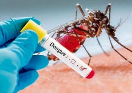 Saúde lança campanha após aumento da dengue, zika e chikungunya