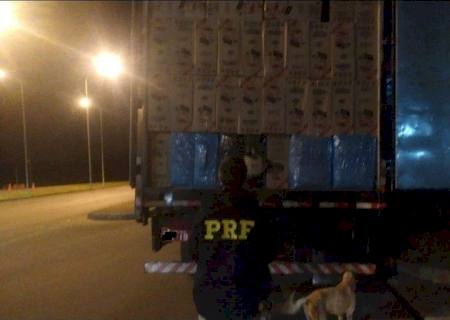 PRF apreende 400 mil maços de cigarros e 3 toneladas de agrotóxicos em Eldorado