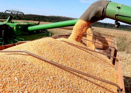 Produção agrícola do Estado deve superar 72 milhões de toneladas com renda acima dos R$ 52 bilhões