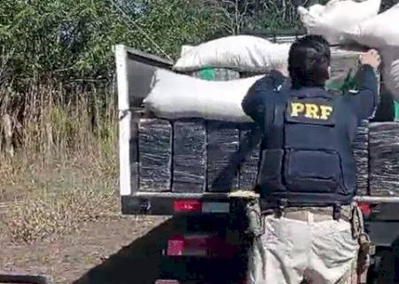 PRF e PM apreendem 3,6 toneladas de maconha em Caracol