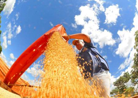 MS desponta no agronegócio nacional com alta na renda agropecuária e na busca por crédito rural
