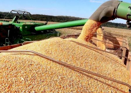 MS pode registrar novo recorde de área plantada e produtividade da soja safra 2022/2023