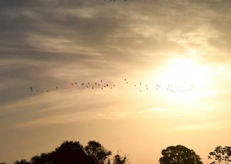 Quinta-feira tem previsão de altas temperaturas e pode bater recorde em MS