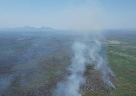 Apoiado pelo Fundect, projeto em MS busca alternativa para evitar incêndios no Pantanal