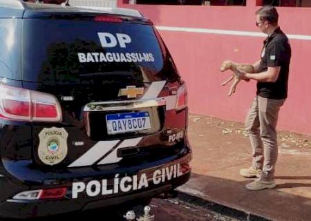 Polícia Civil intensifica ação contra abandono e maus-tratos de animais em Bataguassu