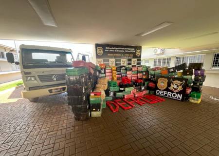 Defron desmantela em Dourados entreposto do tráfico e apreende mais de 5 ton de maconha