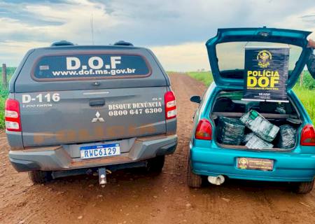 Jovem é preso pelo DOF com drogas avaliadas em R$ 420 mil em Iguatemi