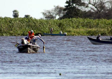 A partir desta quinta, modalidade ''pesque e solte'' está liberada nos rios Paraguai e Paraná