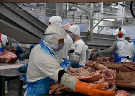 Indústria de MS fechou 2023 com um saldo positivo de 8 mil novas vagas de emprego abertas