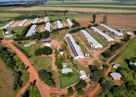 Frango Vida renova a avicultura em Sidrolândia e garante a modernização da atividade na região